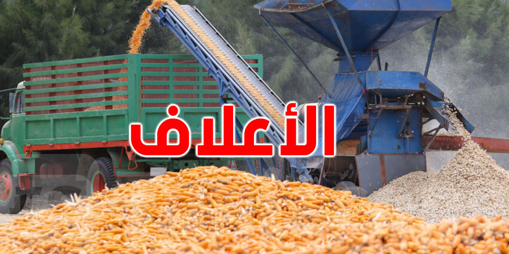  يهمّ الفلاحة ومربّي الماشية: الديوان يحدّد أسعار جديدة للذرة.. هذا قداش الطن!